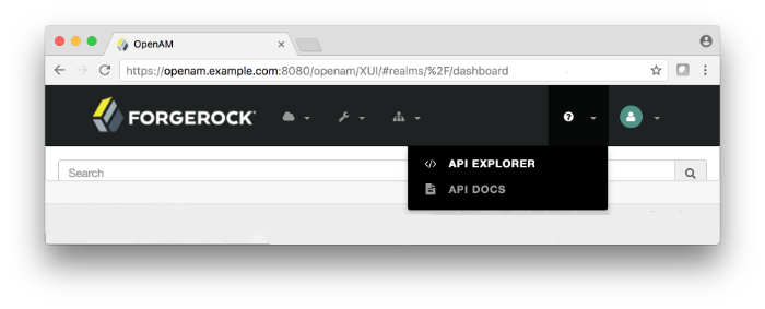 API Explorer page, which is also accessible from the help icon on the AM console.