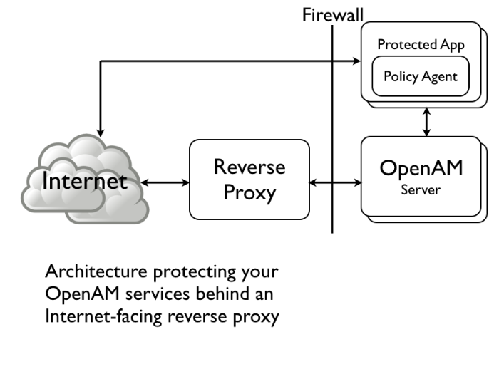 Exposing only a reverse proxy to the Internet