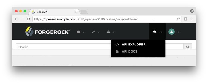 API Explorer page, which is also accessible from the help icon on the AM console.