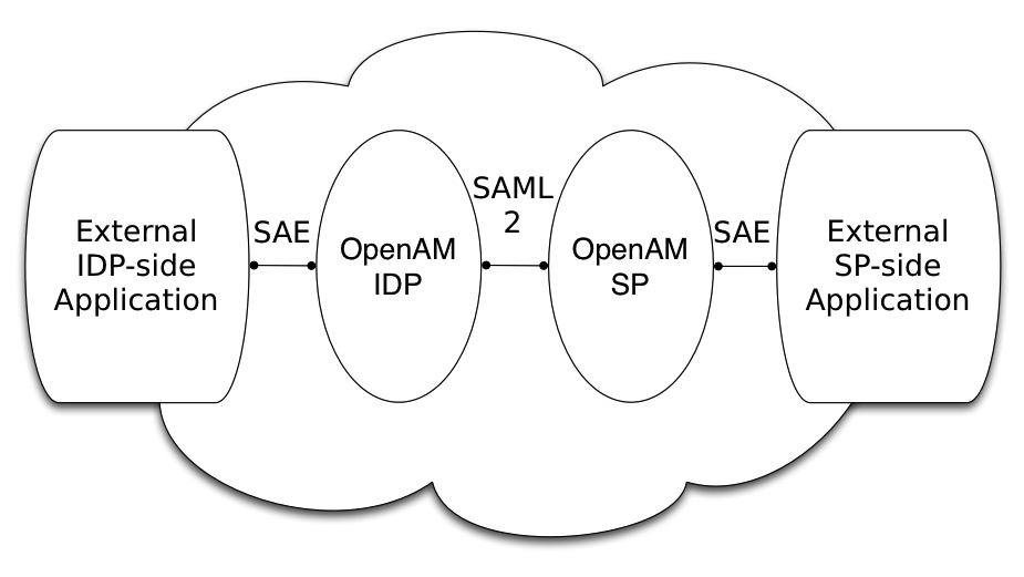 External applications use SAE to communicate with AM providers. The providers in turn use SAML v2.0 to communicate with other providers.