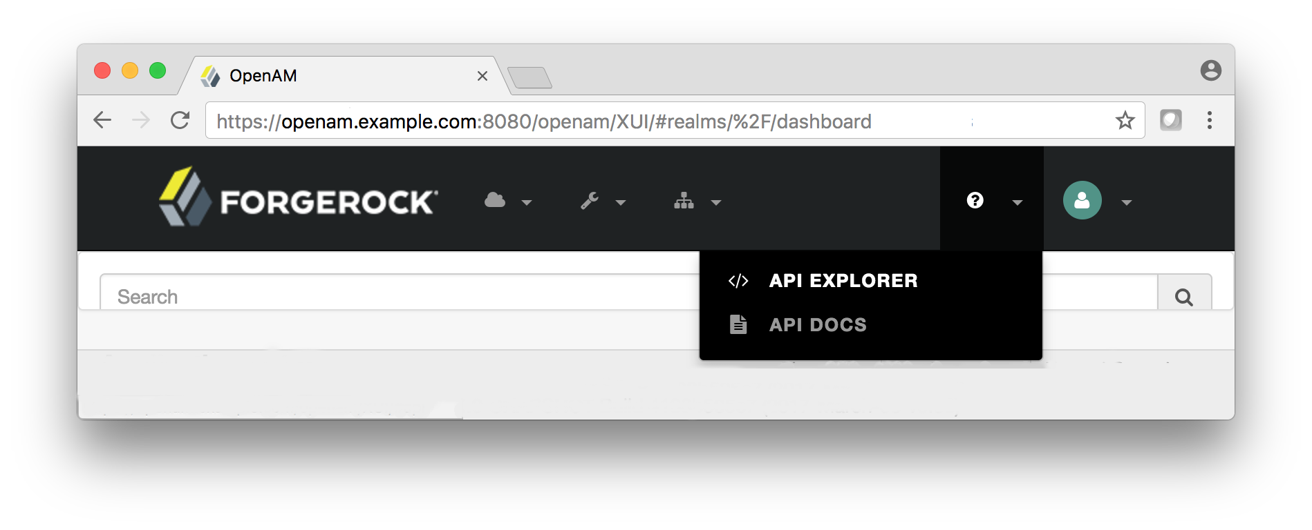 API Explorer, accessible from the help icon on the AM admin UI