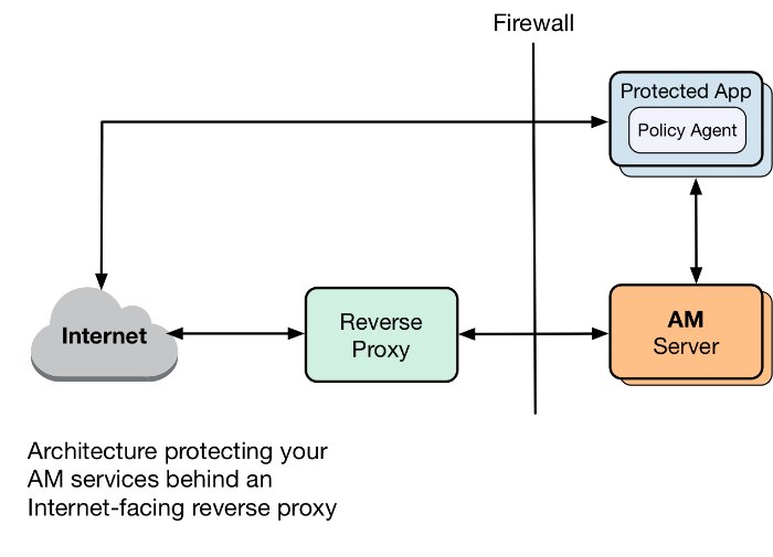 Exposing only a reverse proxy to the Internet