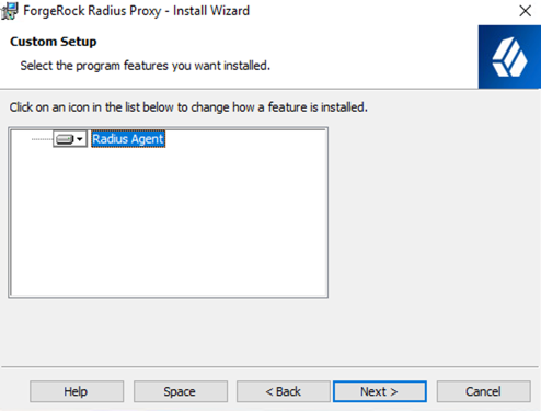 Radius proxy application custom setup next screen