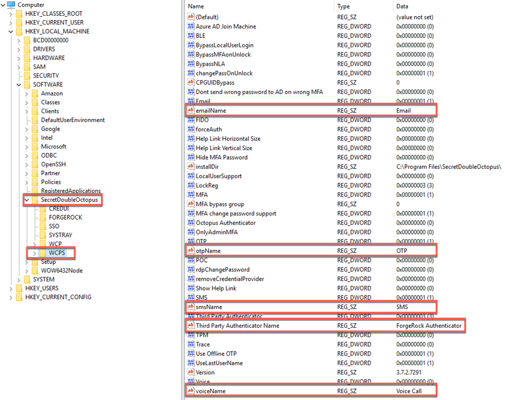 Regsitry keys in Windows for [.label]#Advanced# tab in MSI Updater client configurations