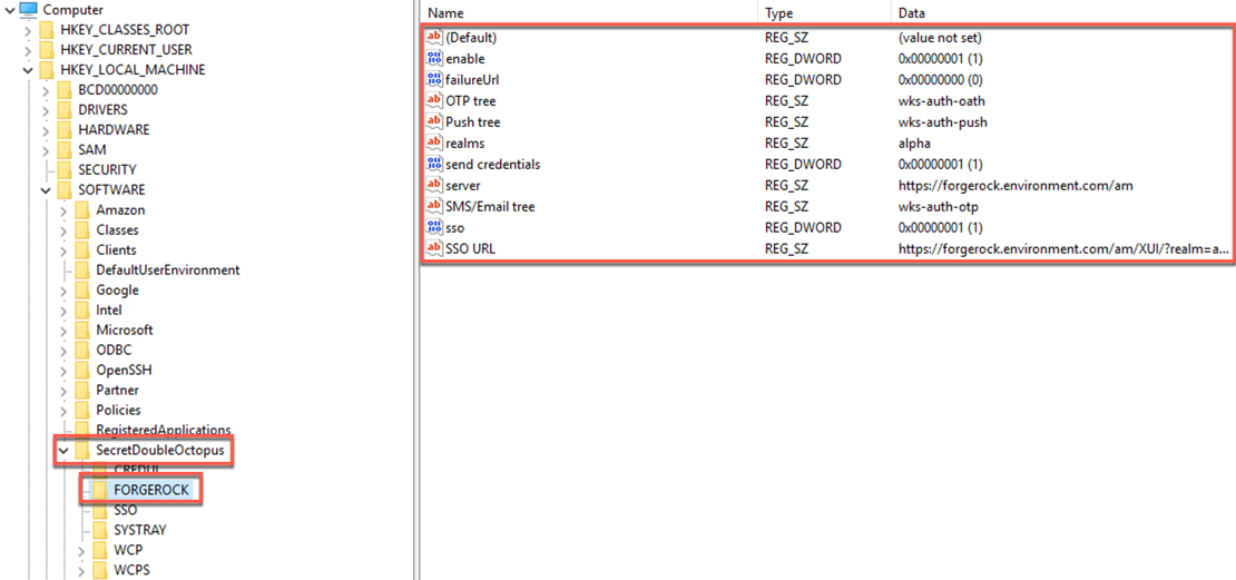 Regsitry keys in Windows for [.label]#ForgeRock# tab in MSI Updater client configurations