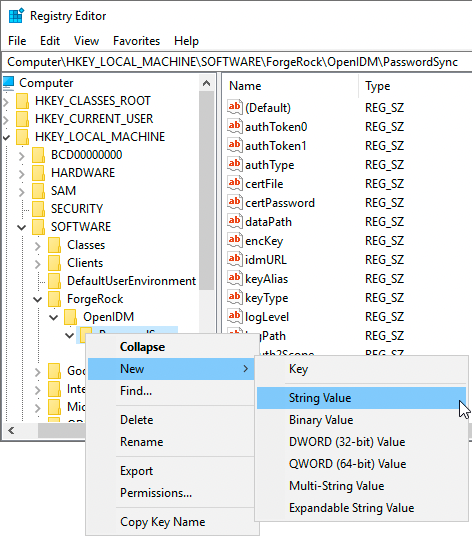 Registry Editor new string value