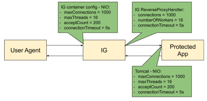 Example configuration for IG, its container, and the container for the protected app.
