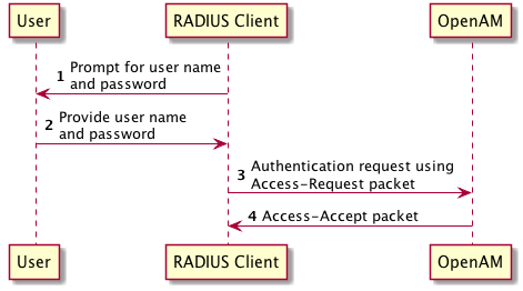 RADIUS Server Service: Successful Simple Authentication Flow