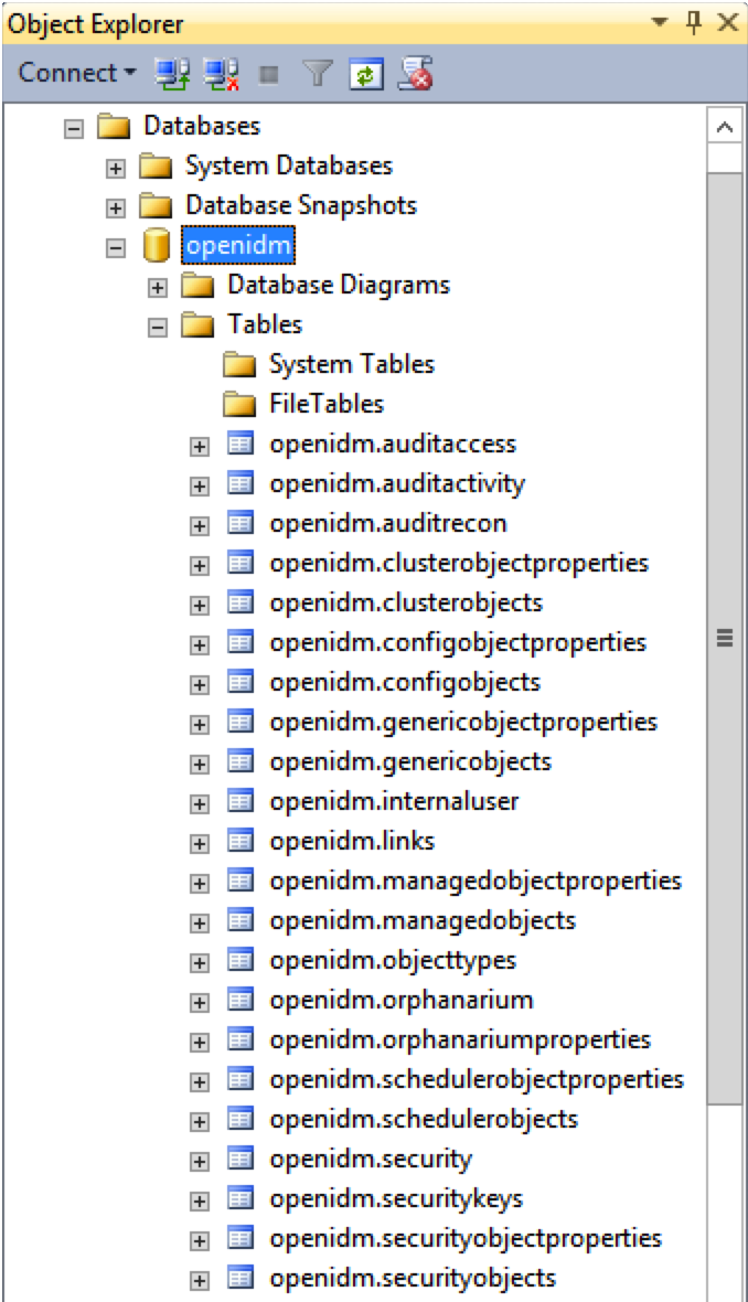 Default tables in the salesforceIdConnect MS SQL database