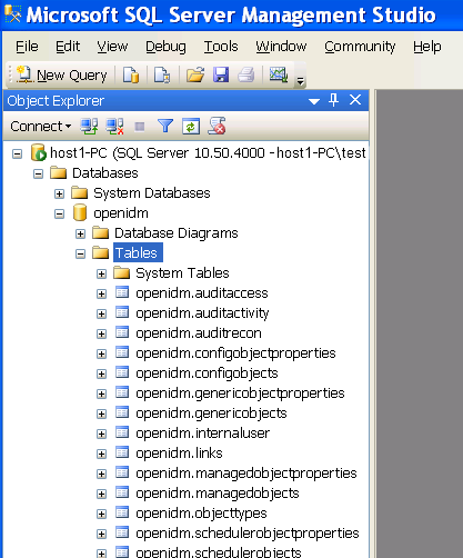 Default tables in the openidm MS SQL database